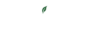 cropped a148795c861241a97cd536efaa9190ba 1.png